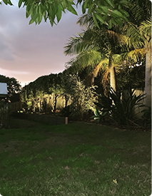 3A3D0575-88FF-4345-8611-4B74F44BF104